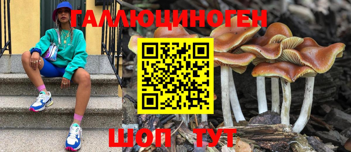 Галлюциногенные грибы прущие грибы Набережные Челны