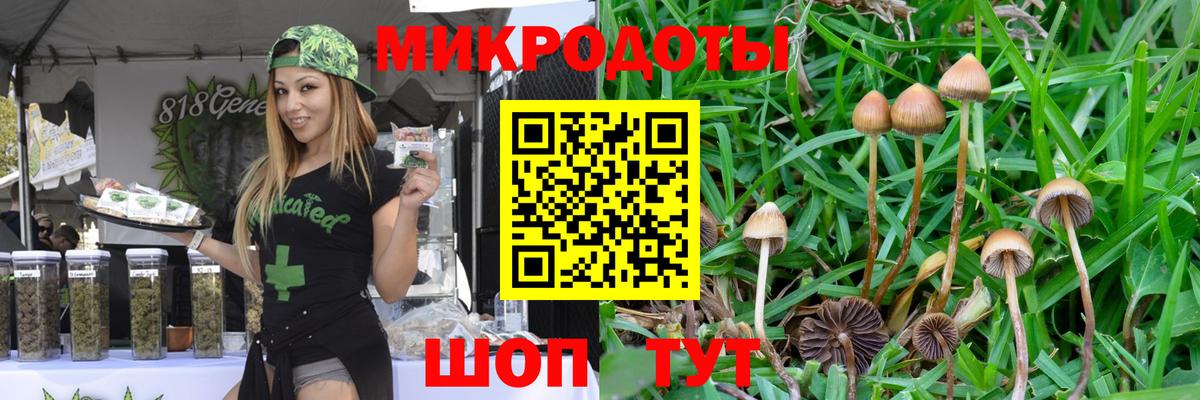 что такое   Галлюциногенные грибы GOLDEN TEACHER  Вход с VPN  Набережные Челны 